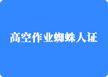 17c在线视频高空作业蜘蛛人证